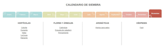 Calendario de siembra Diciembre