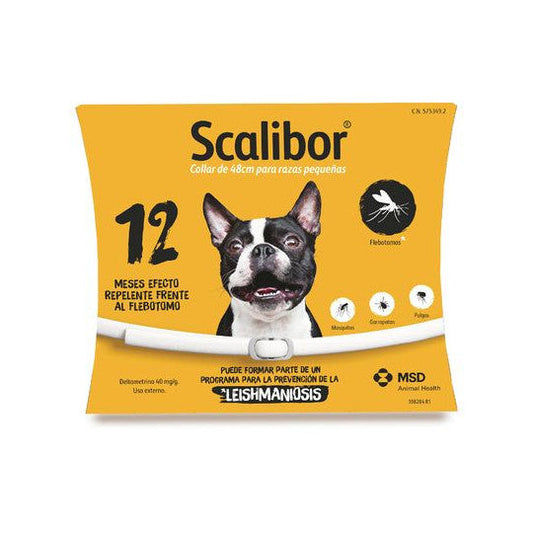 Protección antiparasitaria en mascotas: collares, pipetas y comprimidos