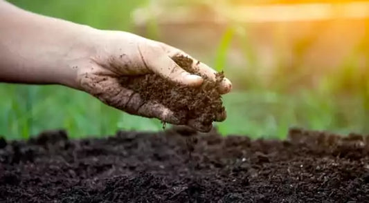 Agricultura y ganadería sostenible: cómo mejorar la fertilidad del suelo con métodos naturales