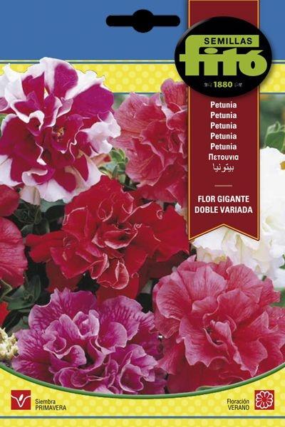 PETUNIA FLOR GIGANTE DOBLE VARIADA SUPERBOL