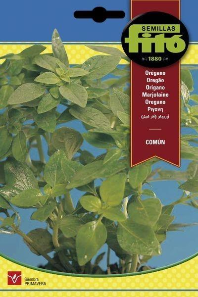 OREGANO COMUN SUPERBOL