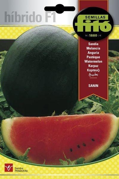 SANDIA HIB F-1 SANIN SUPERBOL