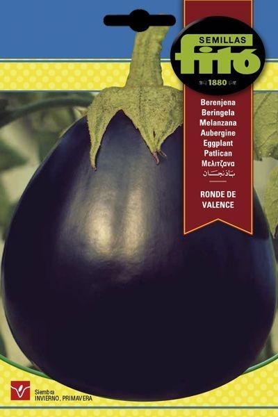 BERENJENA RONDE DE VALENCE SUPERBOL