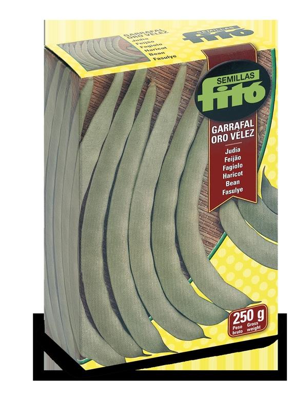 JUDIA GARRAFAL ORO VELEZ 250 GRS.