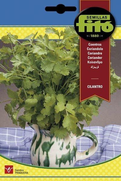 CILANTRO SUPERBOL