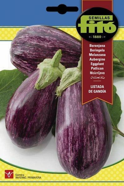 BERENJENA LISTADA DE GANDIA SUPERBOL