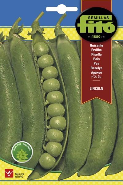 GUISANTE LINCOLN M. BAJA 250 GRS.