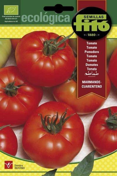 TOMATE MARMANDE-CUARENTENO ECOLOGICO SUPERBOL