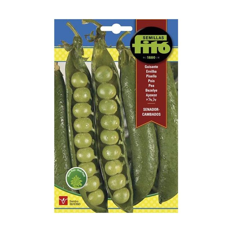 "GUISANTE SENADOR ""CAMBADOS"" 250 GRS."