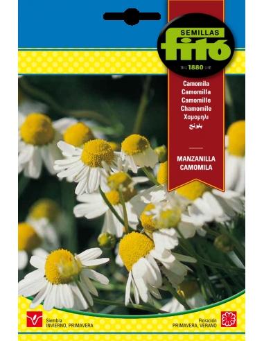 MANZANILLA (CAMOMILA) SUPERBOL
