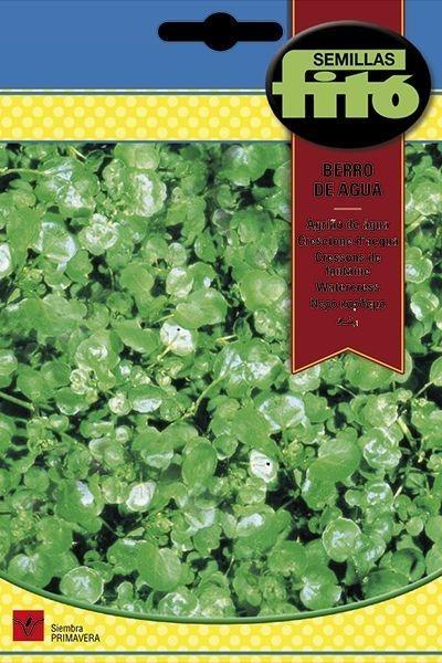 BERRO DE AGUA SUPERBOL