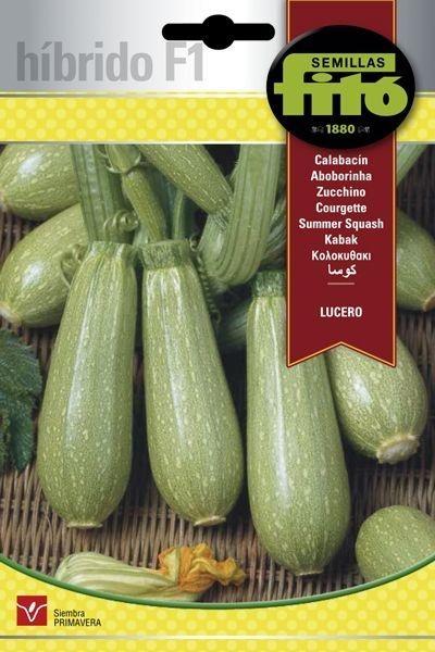 CALABACIN HIB. F-1 LUCERO (CF) SUPERBOL
