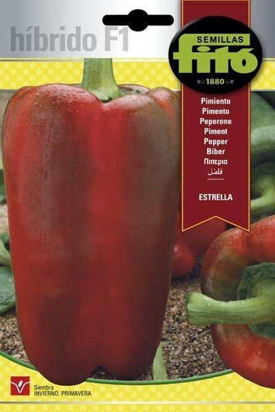PIMIENTO HIB. F-1 ESTRELLA (HOBBY) SUPERBOL