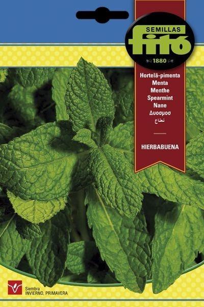 HIERBABUENA SUPERBOL