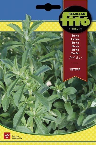 ESTEVIA SUPERBOL