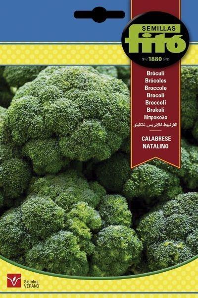 BROCOLI CALABRESE NATALINO SUPERBOL