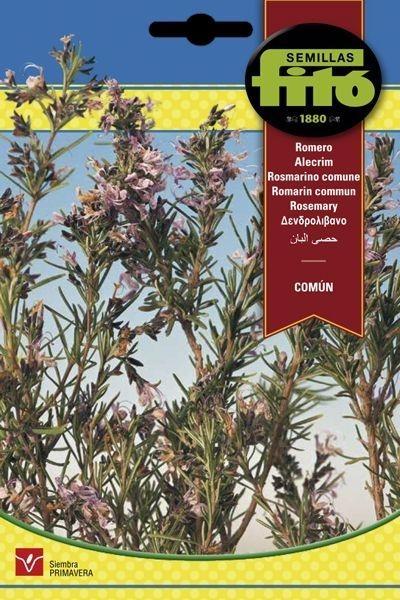 ROMERO COMUN SUPERBOL