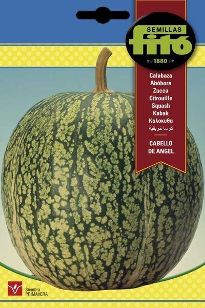 CALABAZA CABELLO DE ANGEL SUPERBOL