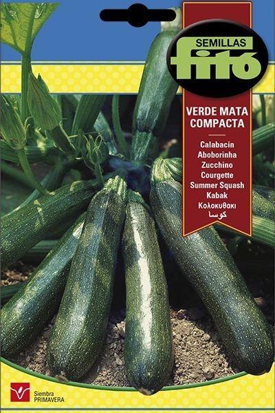 CALABACIN VERDE MATA COMPACTA SUPERBOL