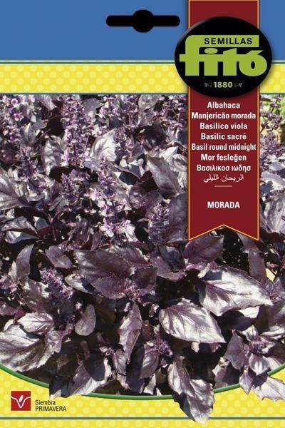 ALBAHACA MORADA SUPERBOL
