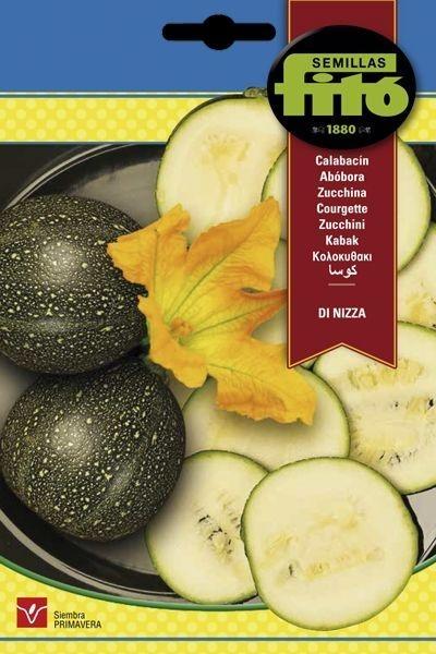 CALABACIN DI NIZZA SUPERBOL