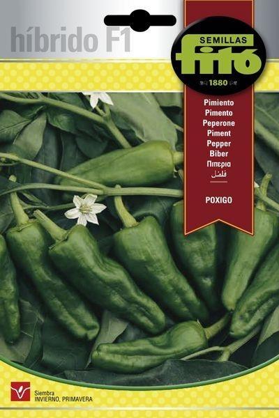 PIMIENTO HIB. F-1 POXIGO (DE PADRON) SUPERBOL
