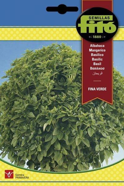 ALBAHACA FINA VERDE SUPERBOL