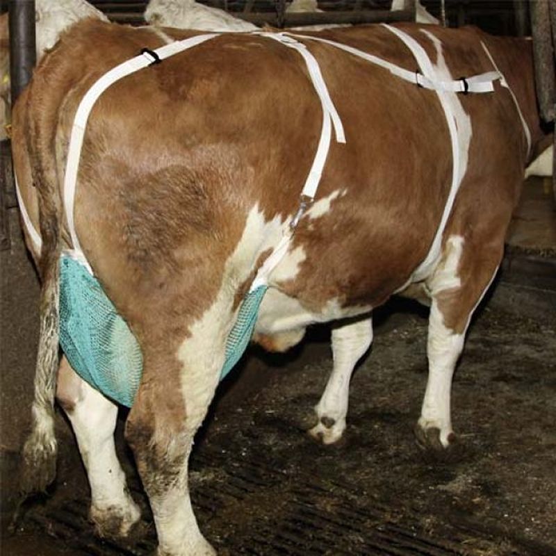 Sostén de ubre para vacas grande, referencia 3130 - Agrocampo