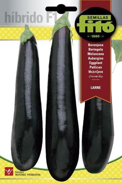 BERENJENA HIB F-1 LARNE SUPERBOL