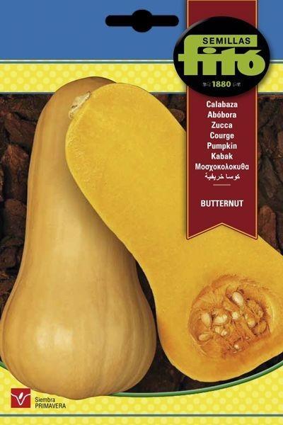 CALABAZA BUTTERNUT SUPERBOL