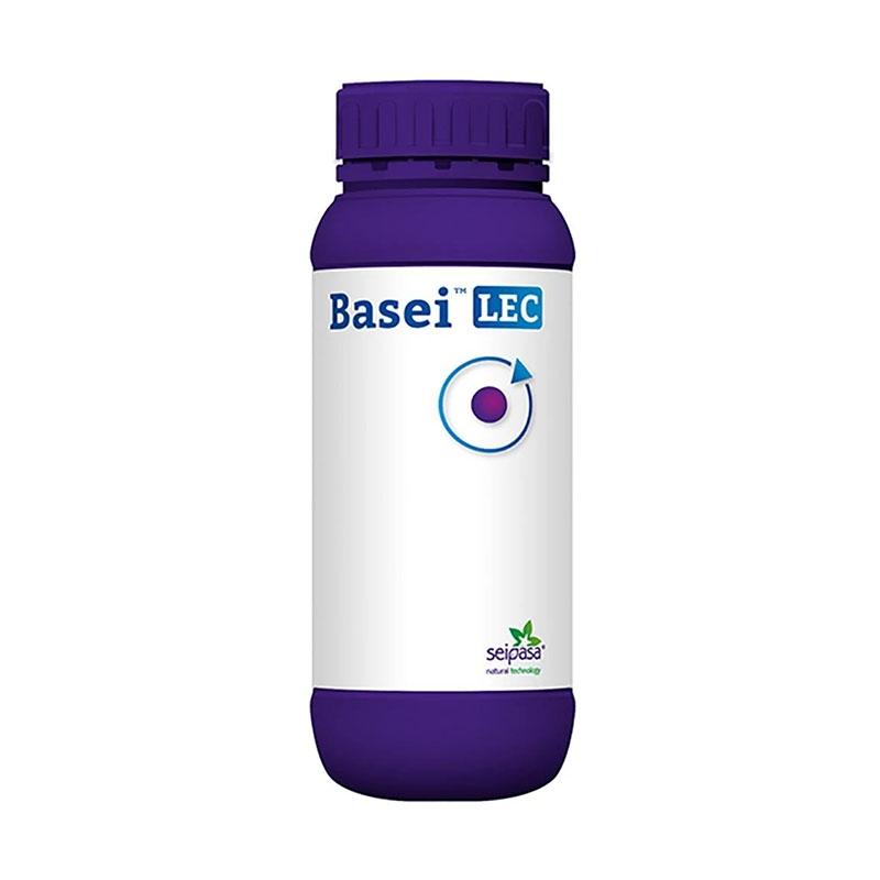 BASEI LEC 1 LTO.