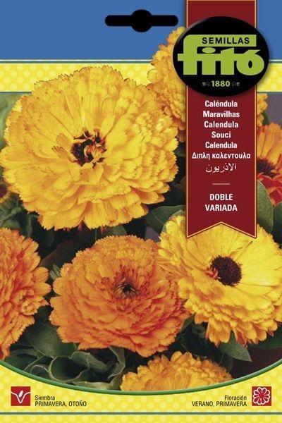 CALENDULA DOBLE VARIADA SUPERBOL