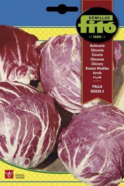 ACHICORIA PALLA ROSSA 3 SUPERBOL