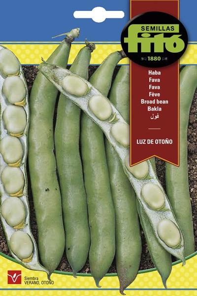 HABA LUZ DE OTOÑO 250 GRS.