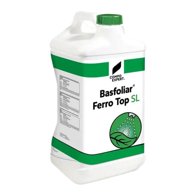 BASFOLIAR FERRO TOP 10 LTS.