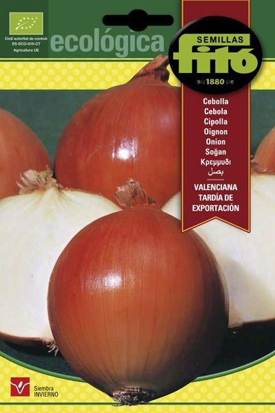 CEBOLLA VALENCIANA TARDIA EXP. ECOLOGICA SUPERBOL