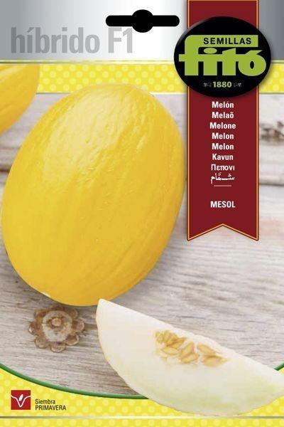 MELON HIB F-1 MESOL SUPERBOL