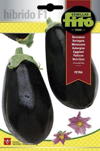 BERENJENA HIB F-1 PETRA SUPERBOL