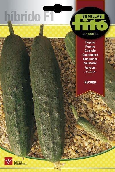 PEPINO HIB. F-1 RECORD SUPERBOL