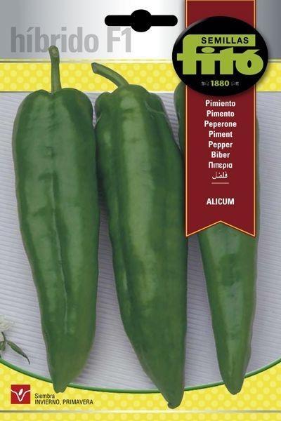 PIMIENTO HIB. F-1 ALICUM SUPERBOL