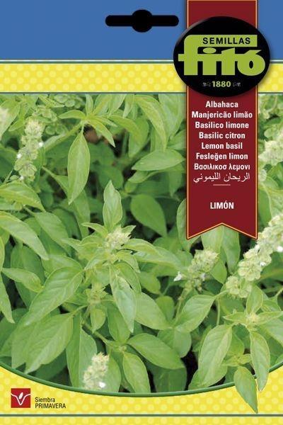 ALBAHACA LIMON SUPERBOL