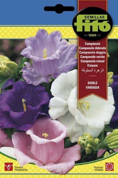 CAMPANULA DOBLE VARIADA SUPERBOL