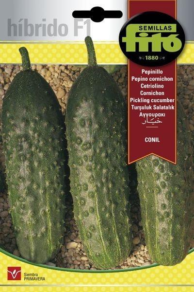 PEPINO HIB. F-1 CONIL (828/00) SUPERBOL