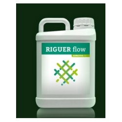 Riguer Flow 5 LTS.