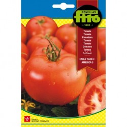 Tomate Early Pack 7 - America 3
