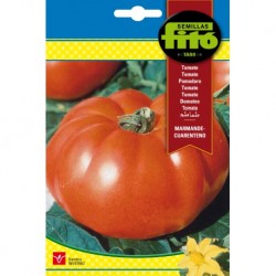 Tomate Marmande - Cuarenteno