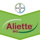Aliette WG