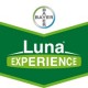 Luna Experience