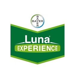 Luna® Experience