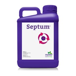 Septum
